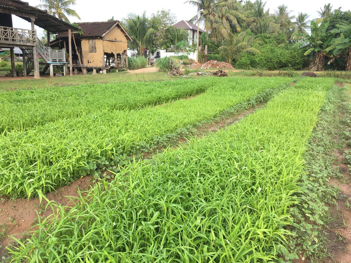 Green Life Cottage Siem Reap Exterior photo